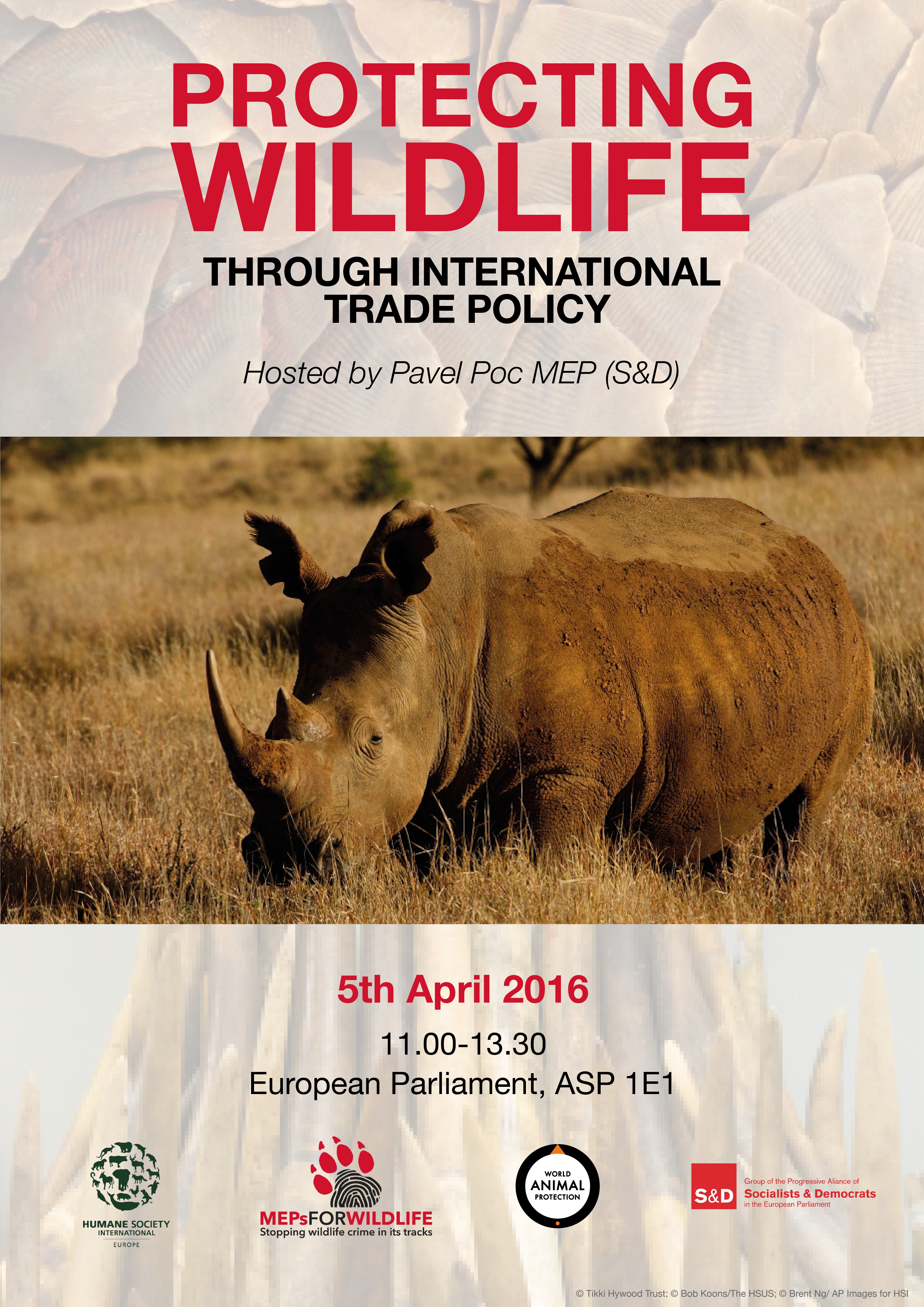 Protecting wildlife through international trade policy - Meps4wildlife4961 x 7016